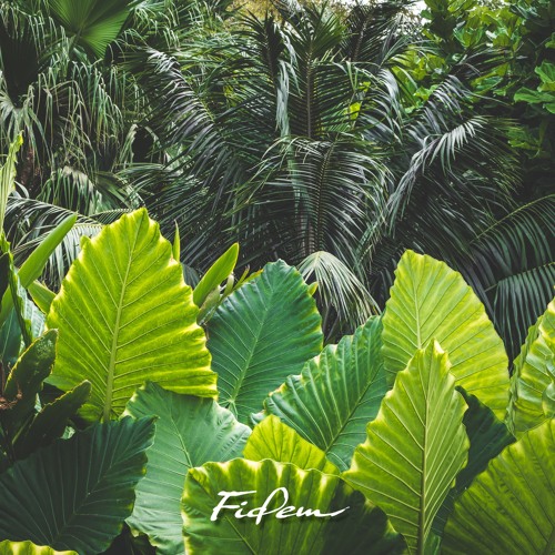 Fidem Community - Two Three