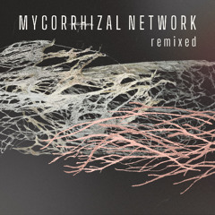 Mychorrhizal Network Remix