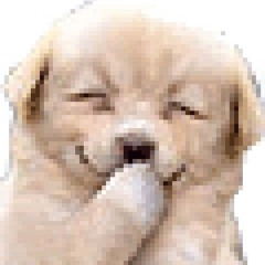 Testing
