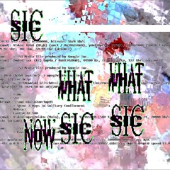 THE LAST EMO ON EARTH - CHINESE FOOTBALL RMX