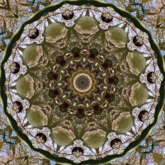 Zabaero Project - New Upcoming Track (sample)