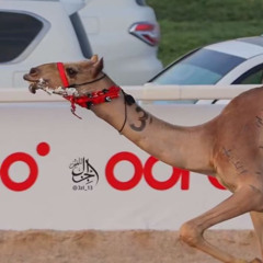 ‎⁨محمد ال نجم & عبدالهادي ال قنيفذ - للعز ساعه تبغي الجد  سلطان محمد الوهيبي 2024 حصرياً⁩.m4a