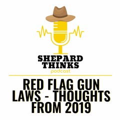 Red Flag Gun Laws - Thoughts From 2019
