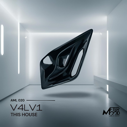 V4LV1 - This House (Original Mix)