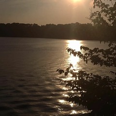 what you want freestyle