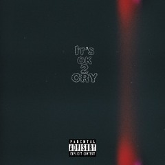 ITS OK 2 CRY 🥀 (cover)