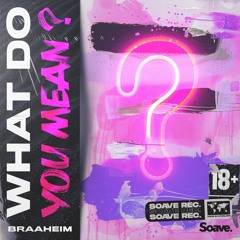 Braaheim - What Do You Mean?