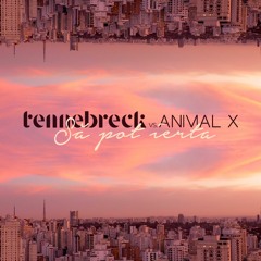 Tennebreck Vs. Animal X - Sa Pot Ierta(Remix)(Extended)