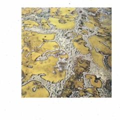 CHN003 // Jacinth - 25th Hour