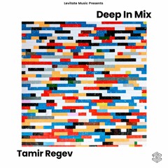 Deep In Mix 77 with Tamir Regev