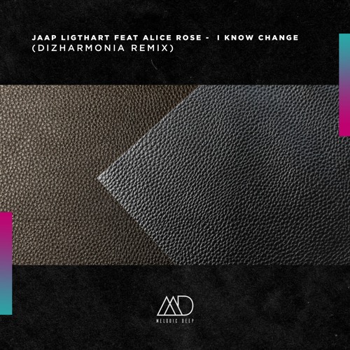 FREE DOWNLOAD: Jaap Ligthart Feat Alice Rose - I Know Change (Dizharmonia Remix) [Melodic Deep]