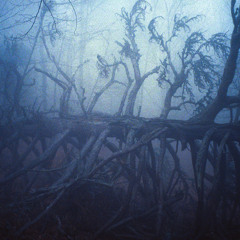 ESTRANGEMENT live KYIV 2021 part 4