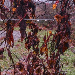 2 LOM Geofons attached to a wire fence