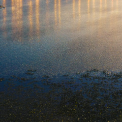 "Reborn" (WIP Draft Original 10/30/25)