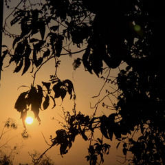 زائرٌ خريفيّ-