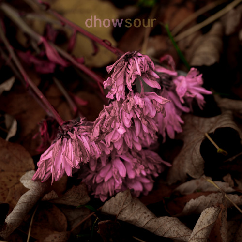 Sour