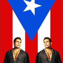 Amr Diab - Amarain - Raggaeton (Sheepman Remix)