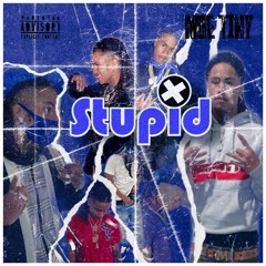 Stupid
