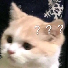 freestyle tập luyện th