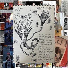 Sheonlylies ft. Feris