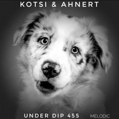K&A UNDER DIP EP 455 Melodic House & Techno 123 Bpm