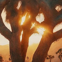 Mix By Sesta - Sunset Set