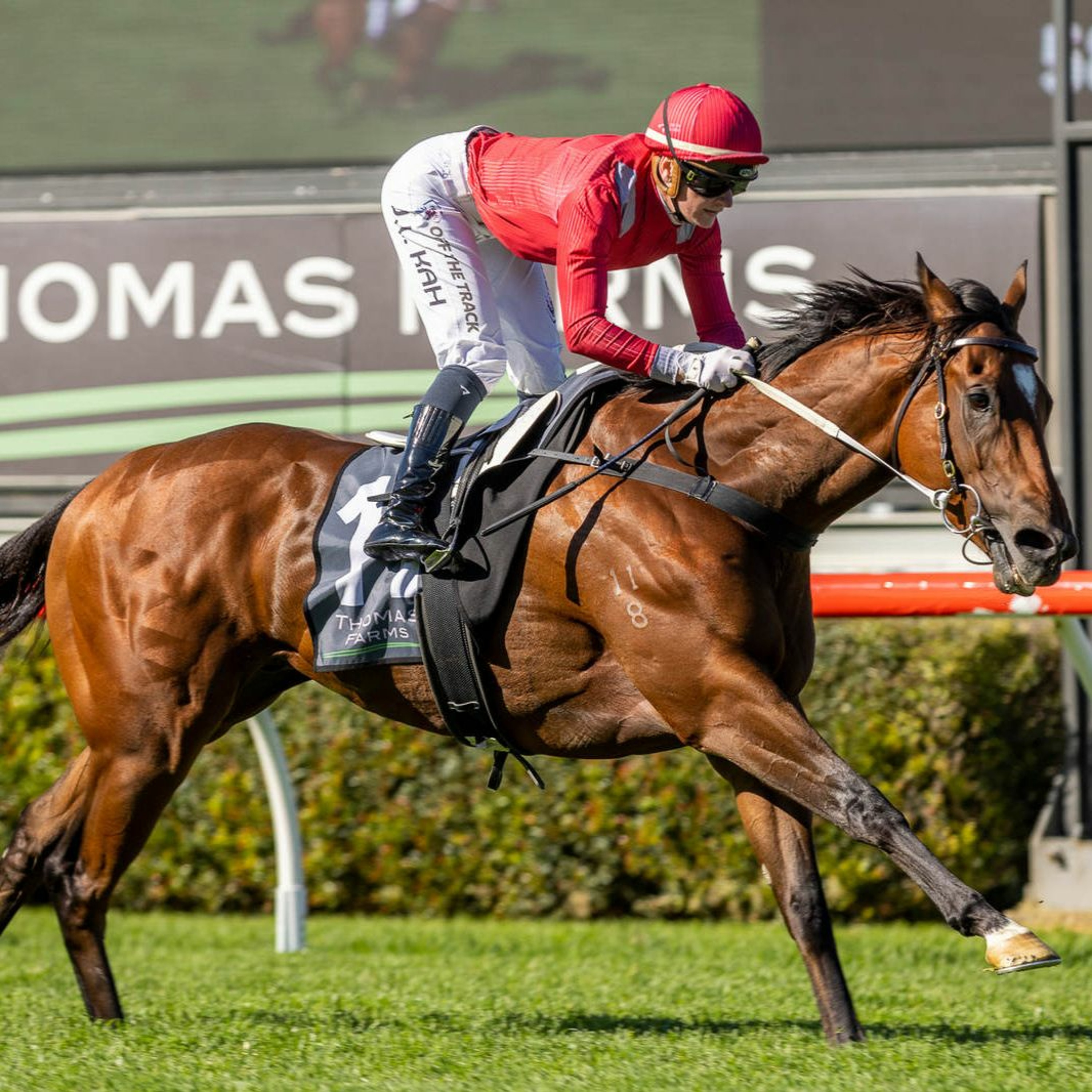 Carlyon Stakes Day Punting Preview