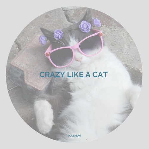 Crazy like a cat