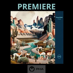 PREMIERE: Tomas Briski - An Opportunity [Traful Records]