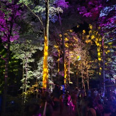 live at Breathe 2024