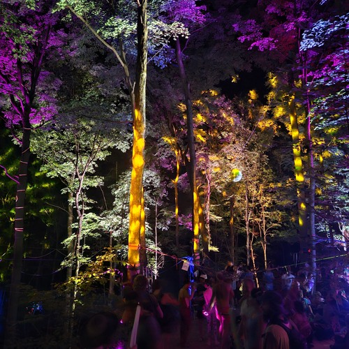 live at Breathe 2024