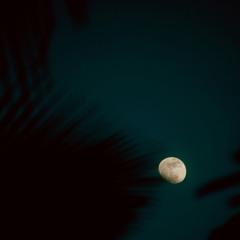 Shadow of the Moon