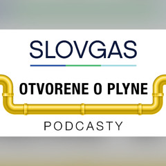 Otvorene o plyne s M.Szapuom ml. a R. Frančekom