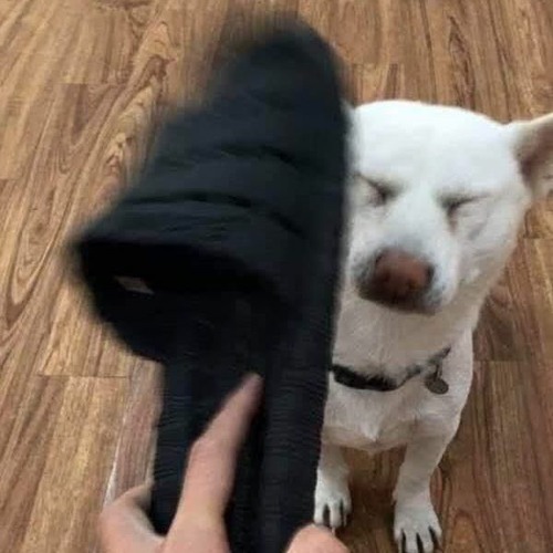 Thế Giới Này Là Của Bố Mày