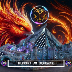 The Phoenix Team Tomorrowland 2025 - By Stephane Onelife