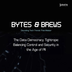 The Data Democracy Tightrope: Balancing Control and Security in the age of PII