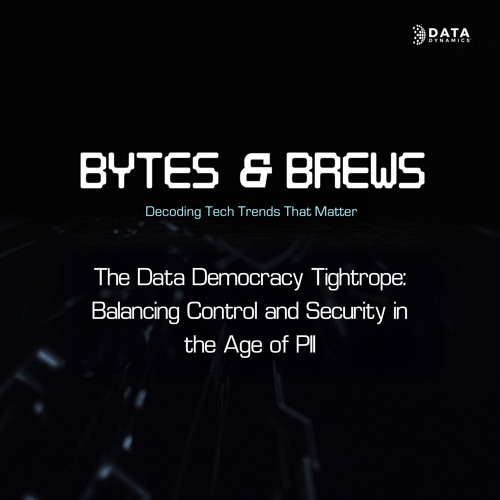 The Data Democracy Tightrope: Balancing Control and Security in the age of PII