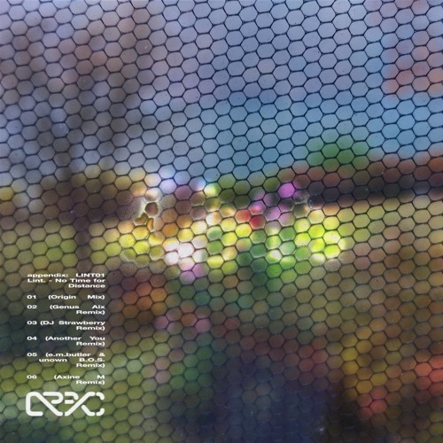 Lint. - No Time for Distance (Origin Mix)