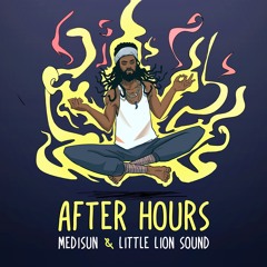 MediSun & Little Lion Sound - After Hours [Evidence Music]