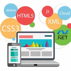 Softtech - India - IT - Company - In - Jaipur