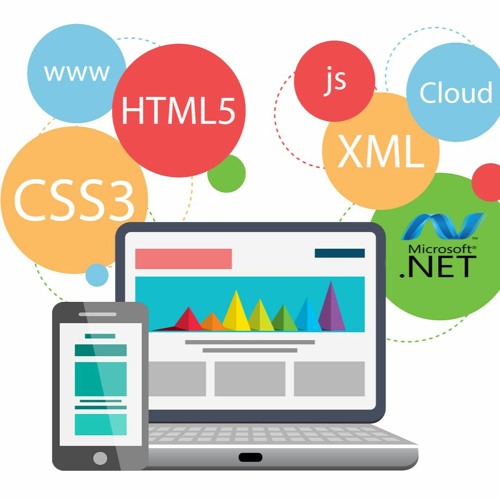 Softtech - India - IT - Company - In - Jaipur