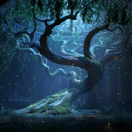 子尧 - 你的答案(DJ小鱼儿版)