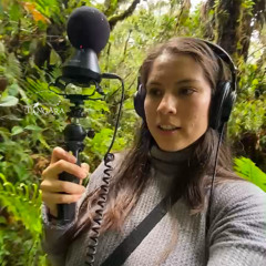 091224 / Listen Fauna / Marisol / El Palmeral