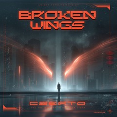 BROKEN-WINGS