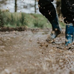 The Muddy March , collab with David Dunham