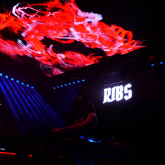 R1BS - More Techno (HardTechno - HardTrance Dj Set)