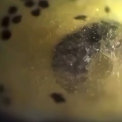 GTG Premiere | THEGOD01 - Harvested Strain [HGD32]