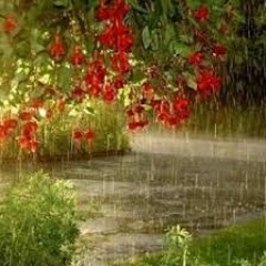 Music tracks, songs, playlists tagged 14yo on SoundCloud