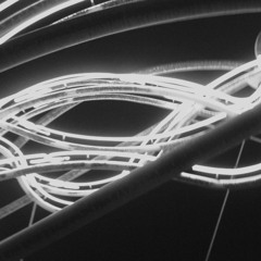 The Lights [îFree DL]