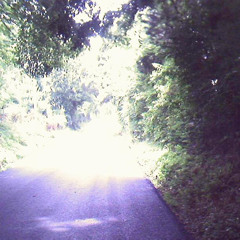 Light Sensitive